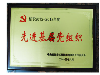 湖北東信醫(yī)藥有限公司黨支部榮獲先進(jìn)基層黨組織榮譽稱號