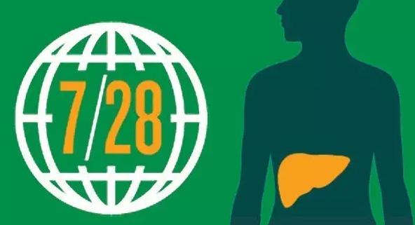 2015國內肝炎用藥市場超400億元：護肝藥為領先品類，占比1/...